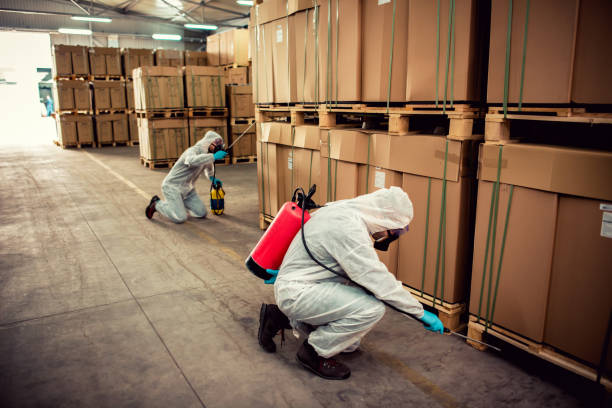 Best Best Pest Control Companies  in Huntington Woods, MI