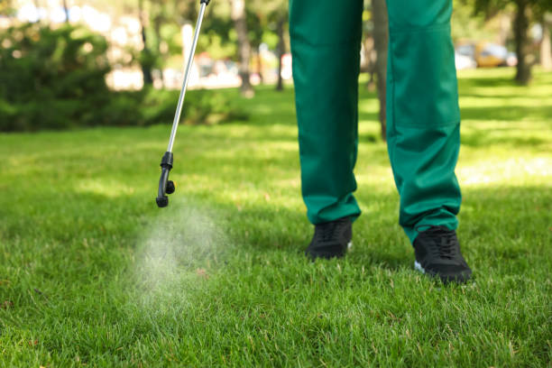 Best Pest Control for Homes  in Huntington Woods, MI
