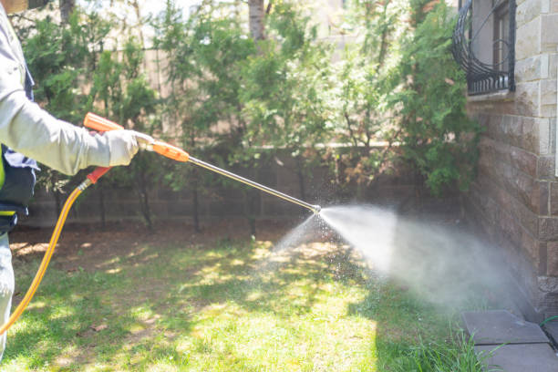 Best Exterminator Services  in Huntington Woods, MI
