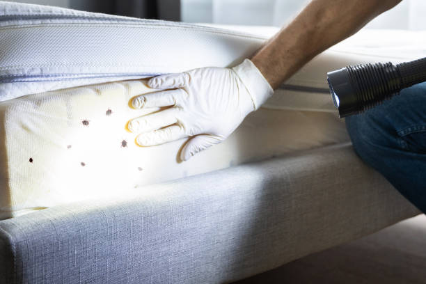 Best Pest Control Near Me  in Huntington Woods, MI