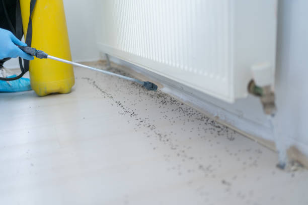 Best Wasp Removal Services  in Huntington Woods, MI