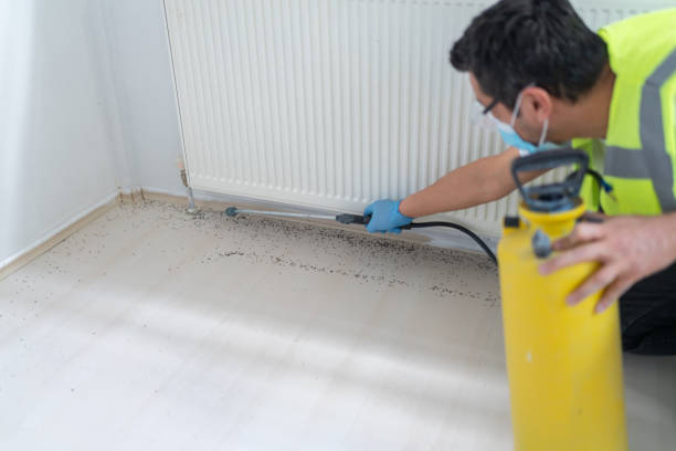 Best Affordable Pest Control Services  in Huntington Woods, MI