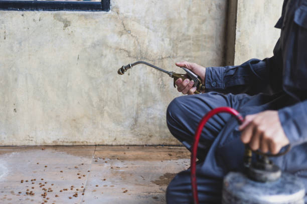 Best Local Pest Control Services  in Huntington Woods, MI