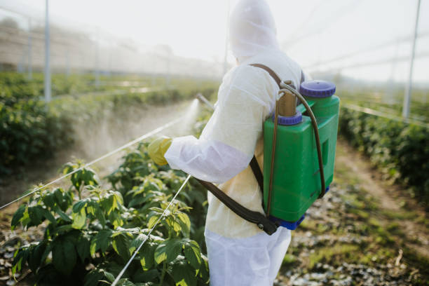 Best Termite Control Services  in Huntington Woods, MI